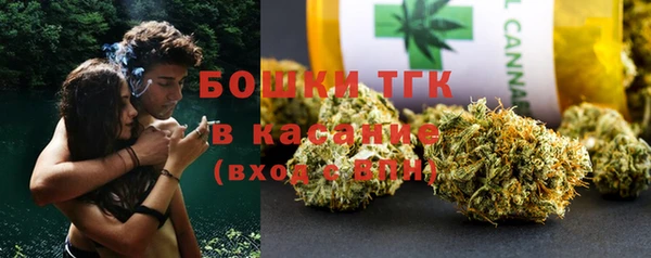 прущие грибы Арсеньев