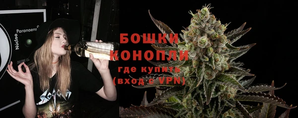 PSILOCYBIN Армянск